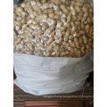 Roasted Peanut in Shell Exporting Quality